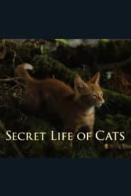 The Secret Life of Cats