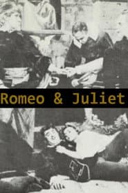 Romeo and Juliet, A Romantic Story of the Ancient Feud Between the Italian Houses of Montague and Capulet