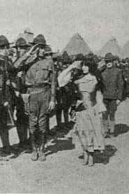 The Little Boy Scout