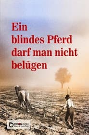 Ein blindes Pferd darf man nicht belügen