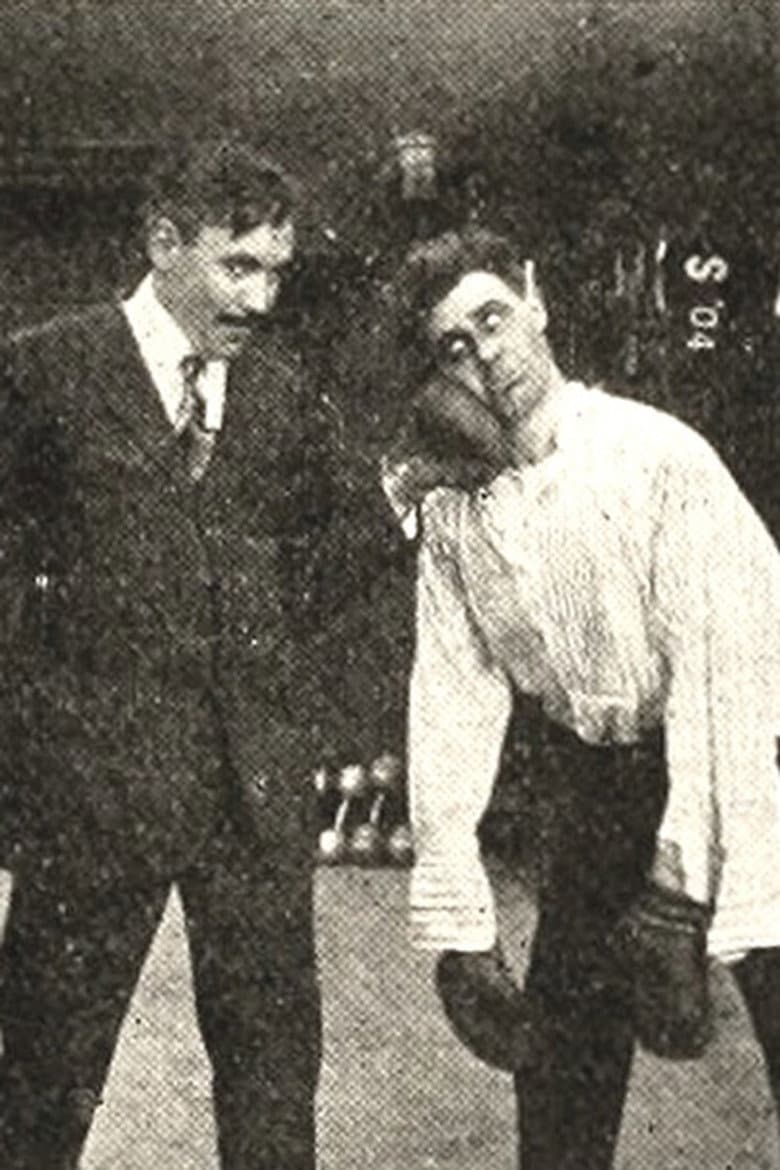 The Mistaken Masher poster