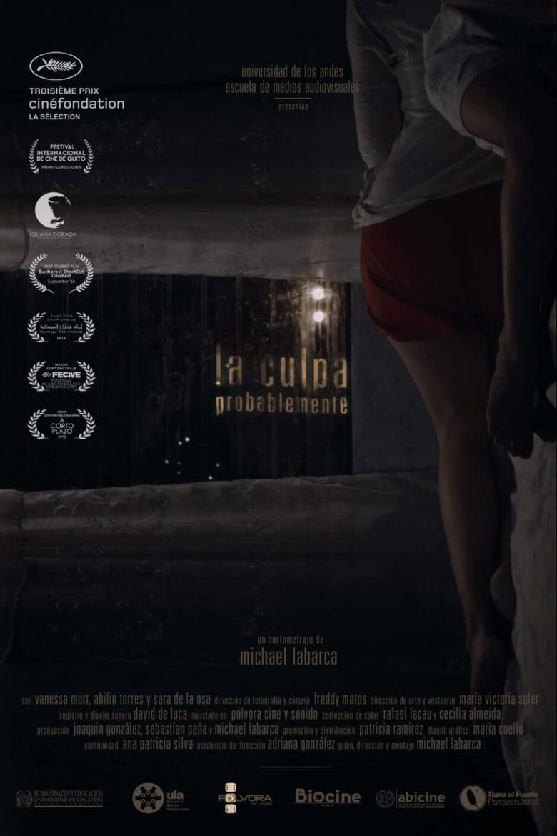 The Guilt, Probably poster