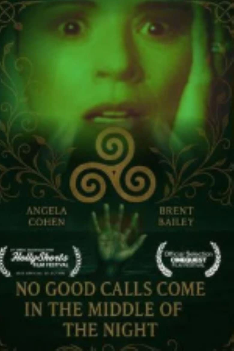 No Good Calls Come in the Middle of the Night poster