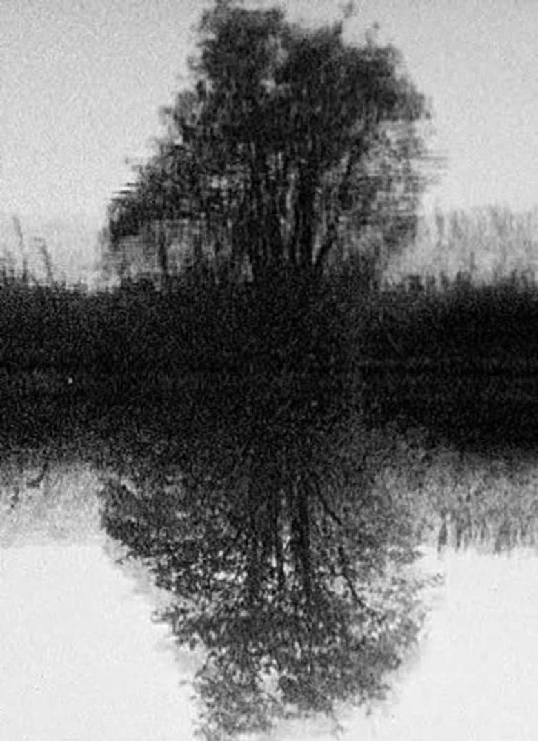 Tree Reflection poster