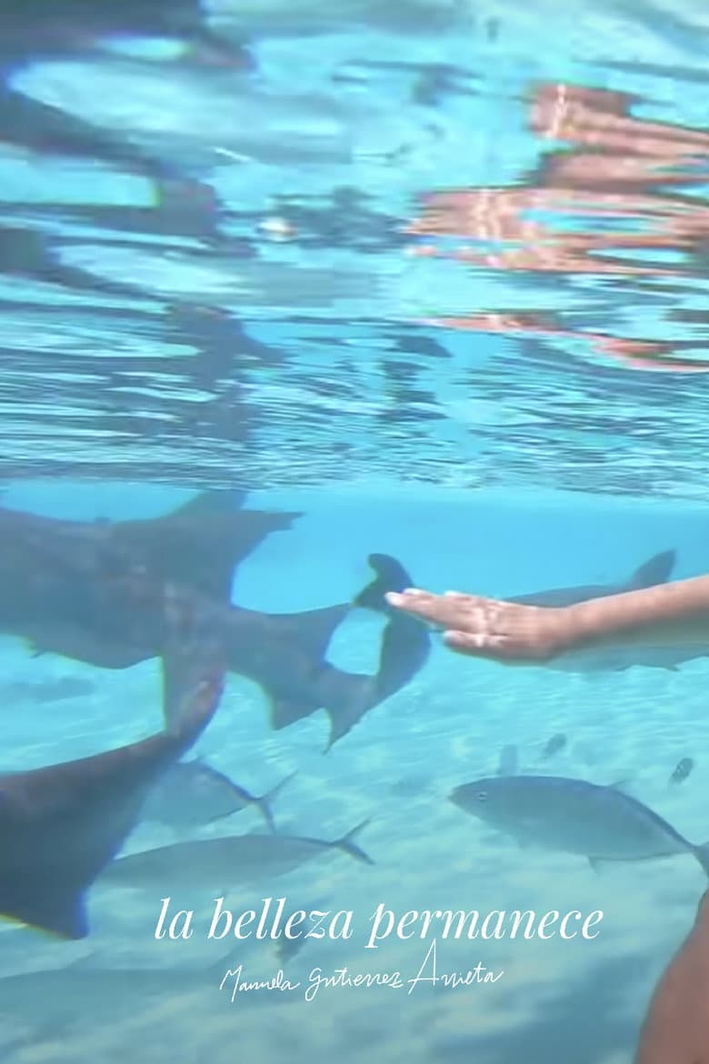 la belleza permanece poster