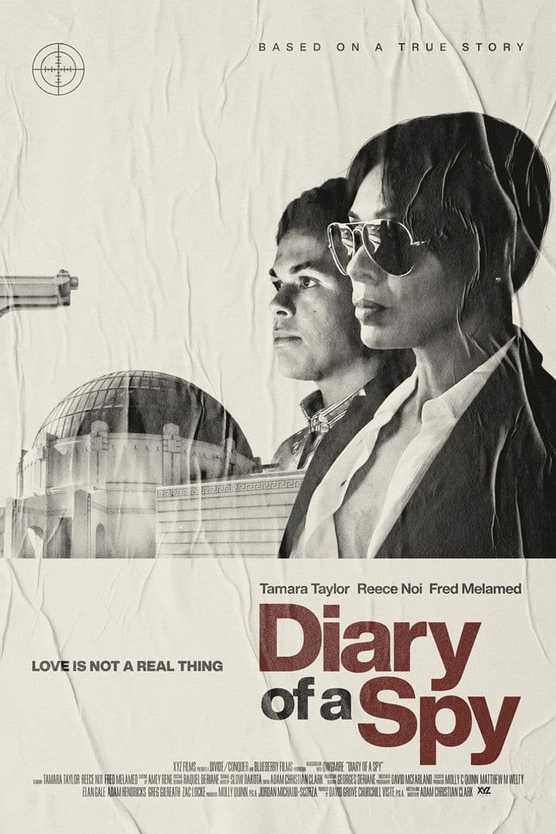 Diary of a Spy poster