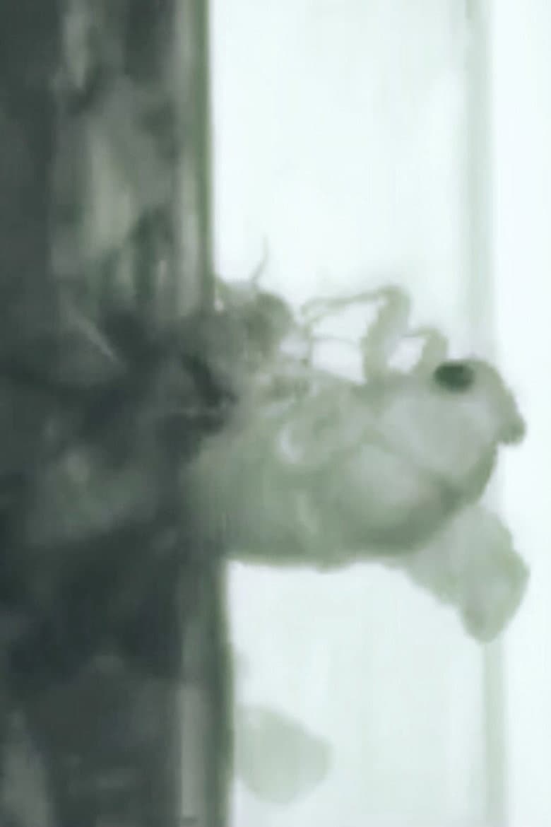 Un Ange Passe poster