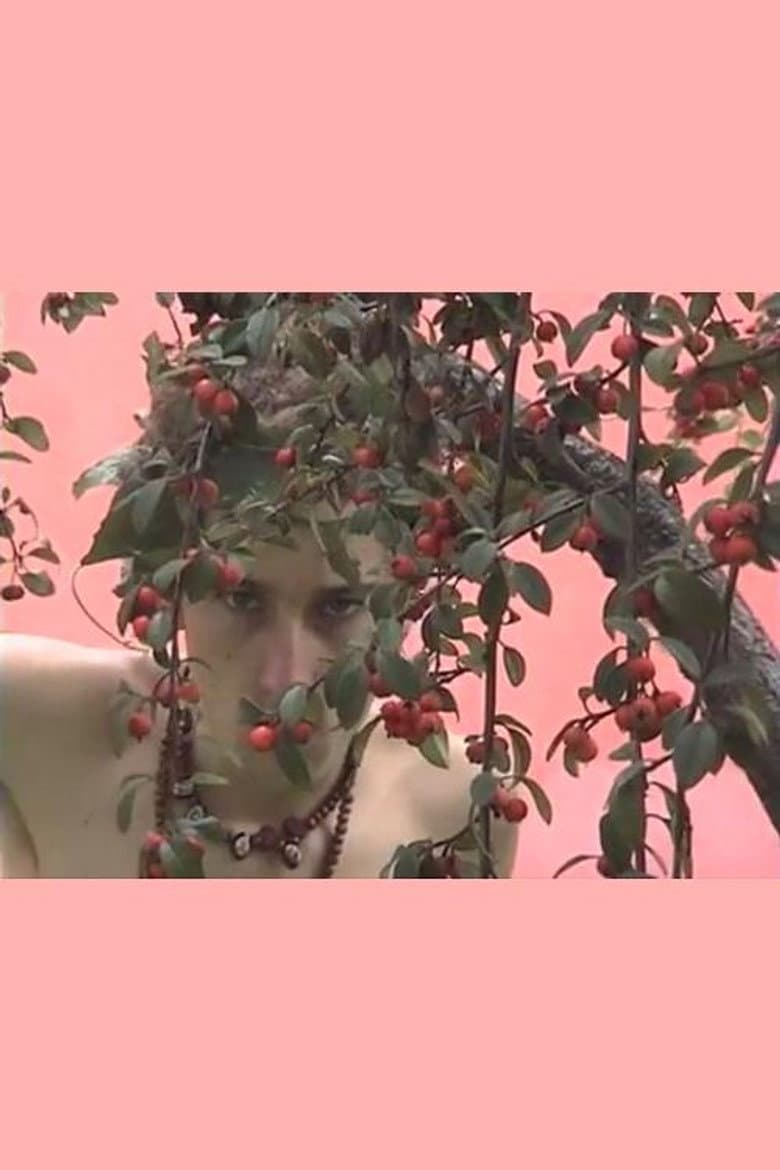 The Faery Garden poster