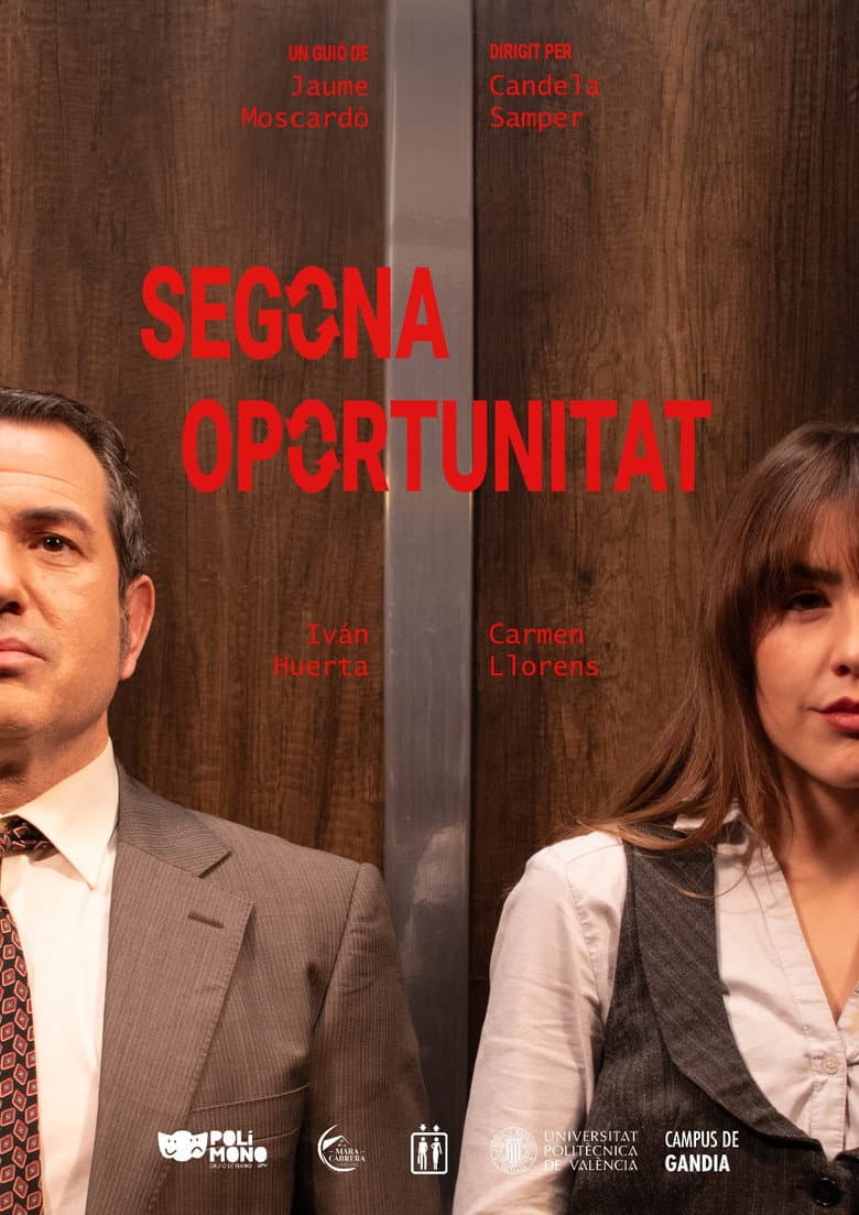 Second Chance poster