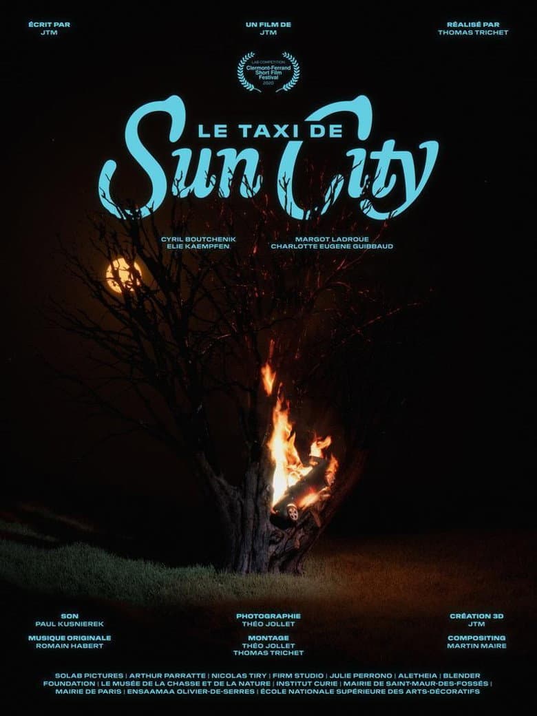 Le taxi de Sun City poster
