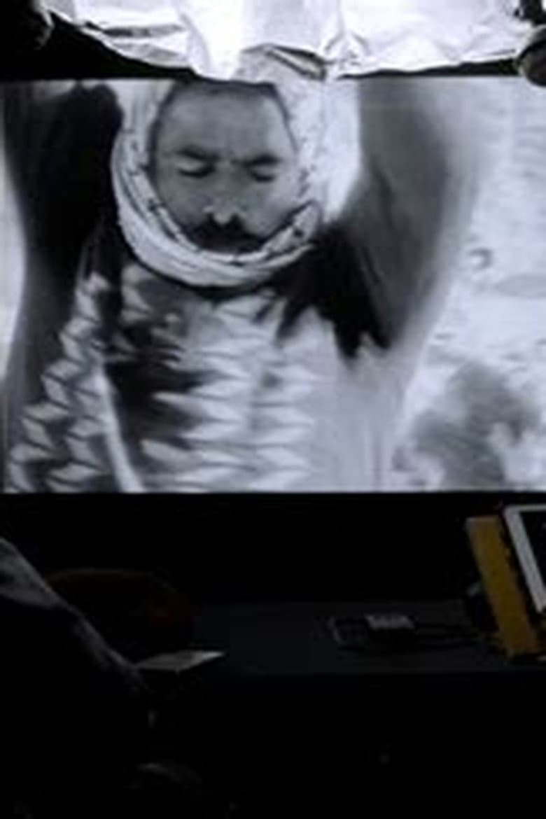 Amos Gitaï, la violence et l’histoire poster