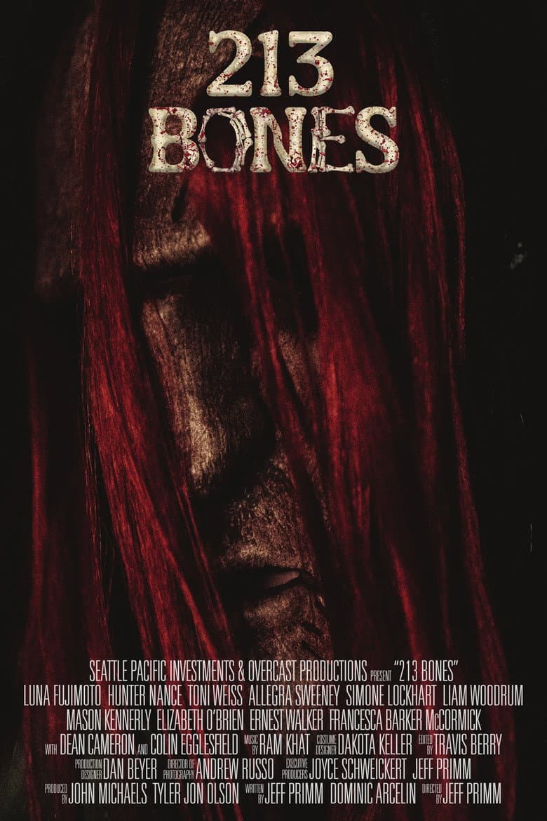 213 Bones poster