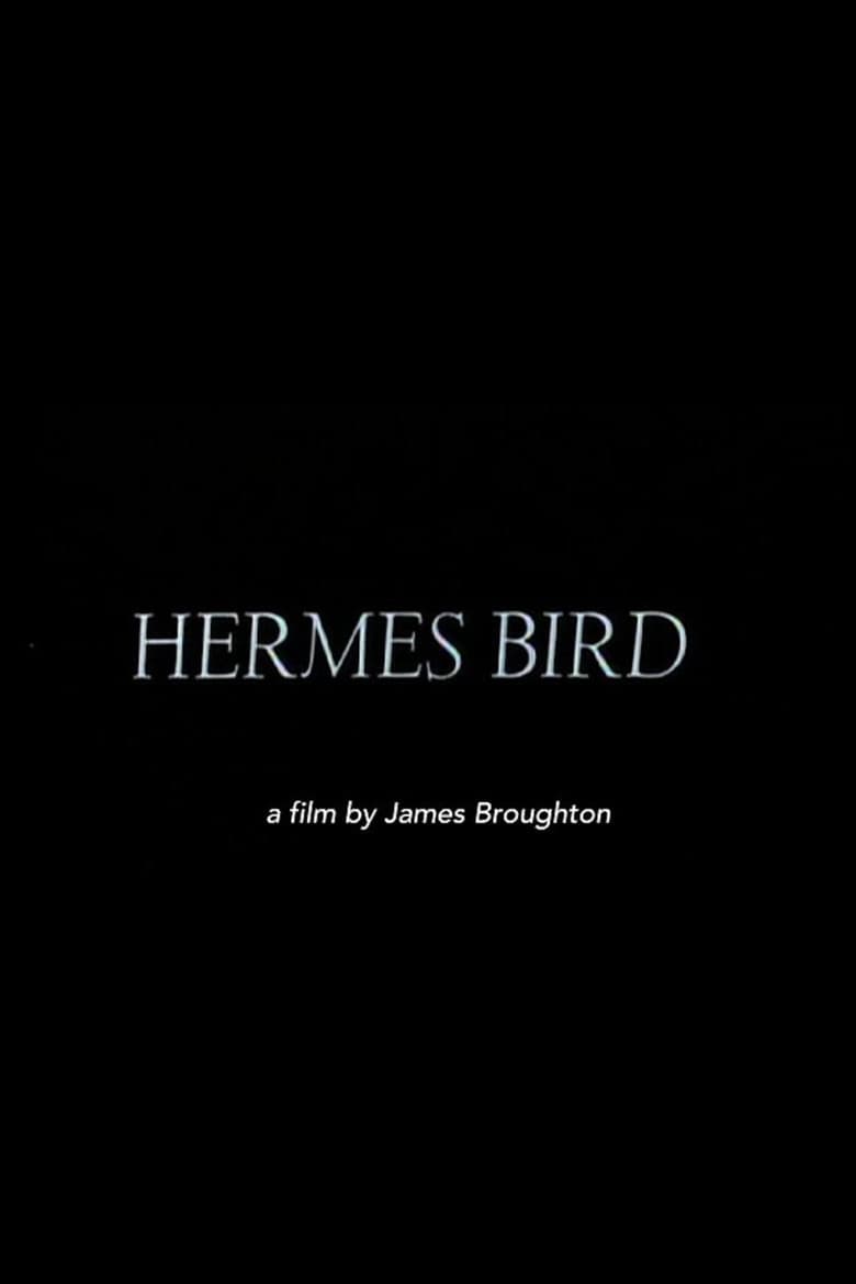 Hermes Bird poster