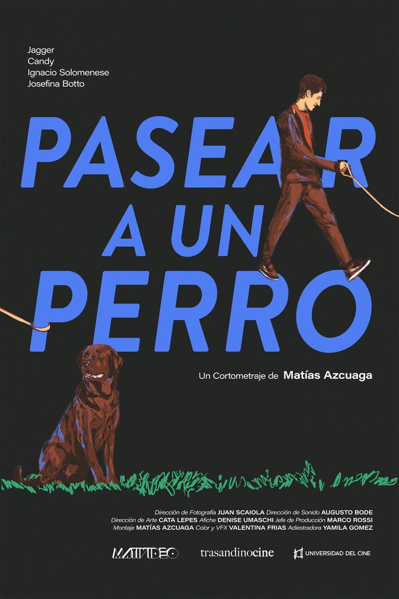 Pasear a un perro poster