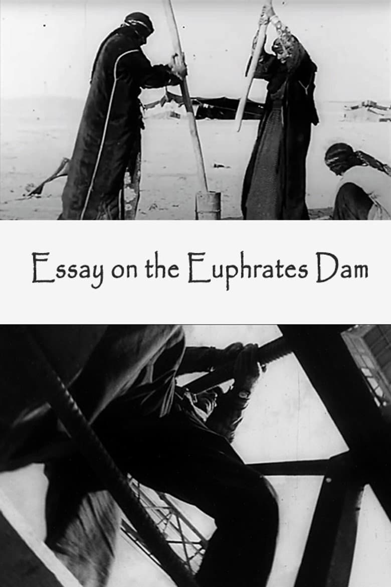 Film-Essay on the Euphrates Dam poster