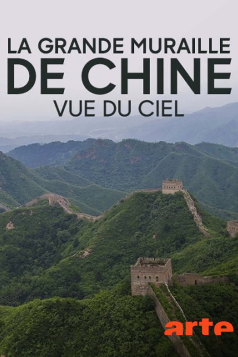 Flying the Great Wall poster