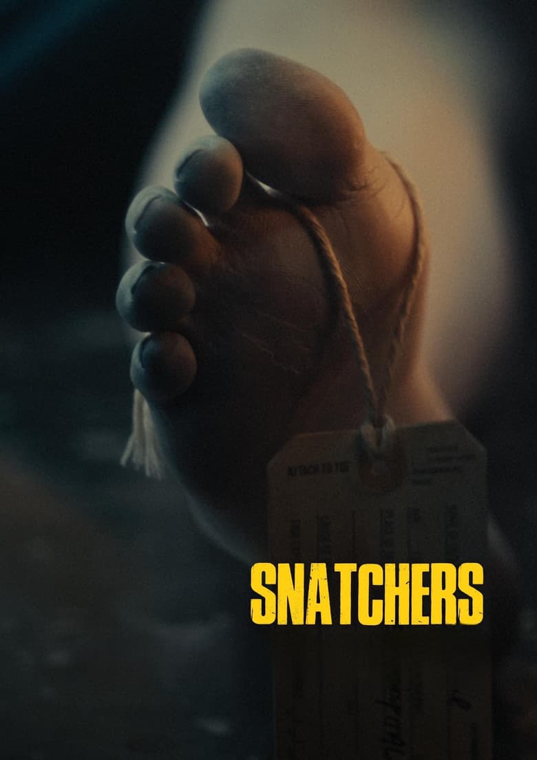 Snatchers poster
