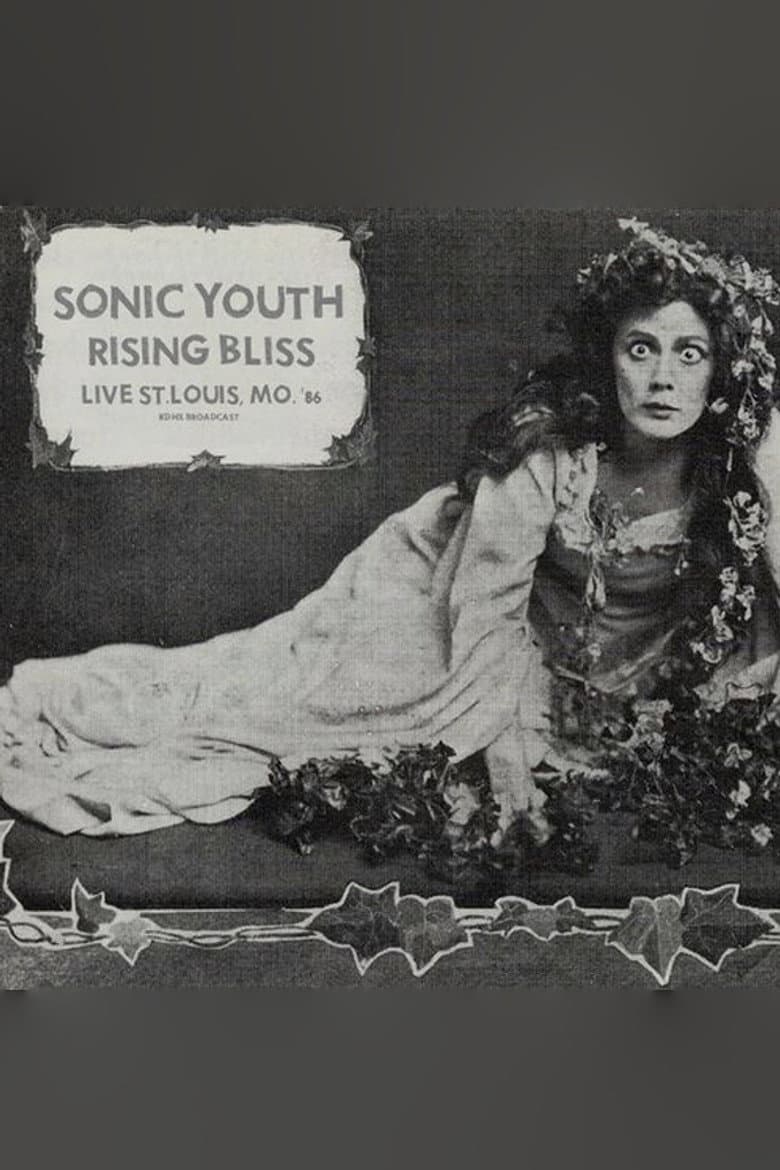 Sonic Youth: Mississippi Nights, St. Louis poster