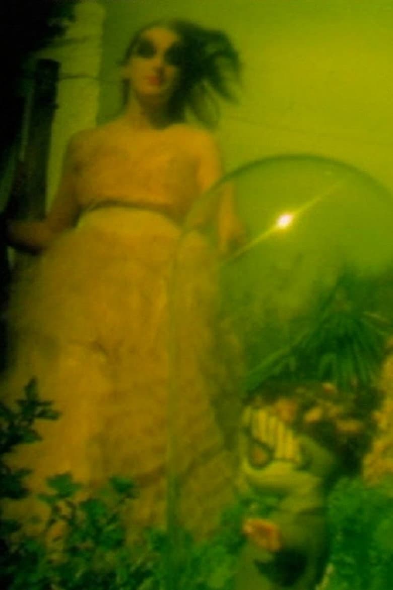 A Cabinet for Daydreams poster