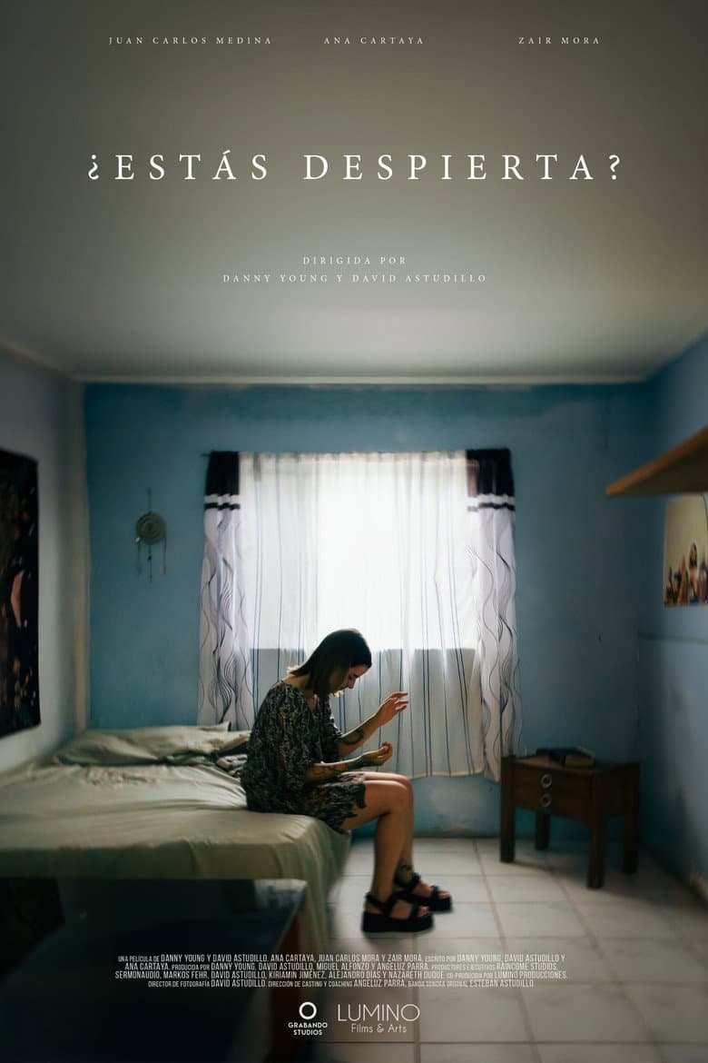 Are You Awake? poster