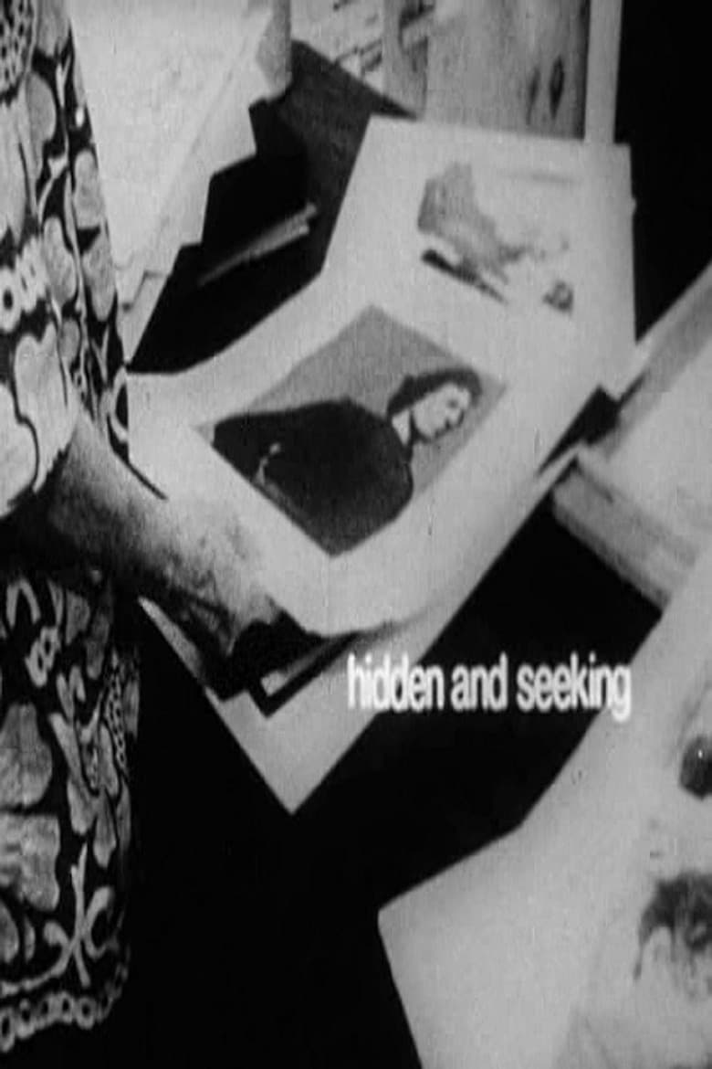 Hidden and Seeking poster