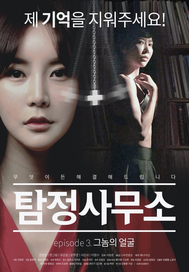 Detective Agency: Face of the Gnome poster