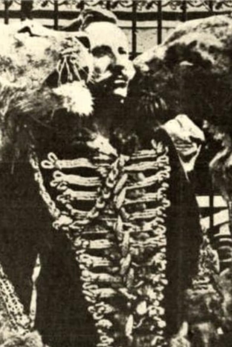 In pasto ai leoni poster