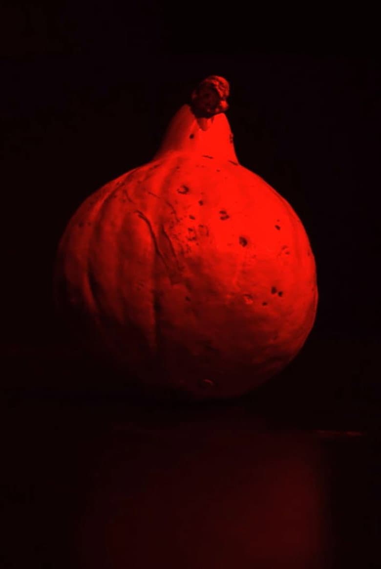 W dyni się nie mieści poster