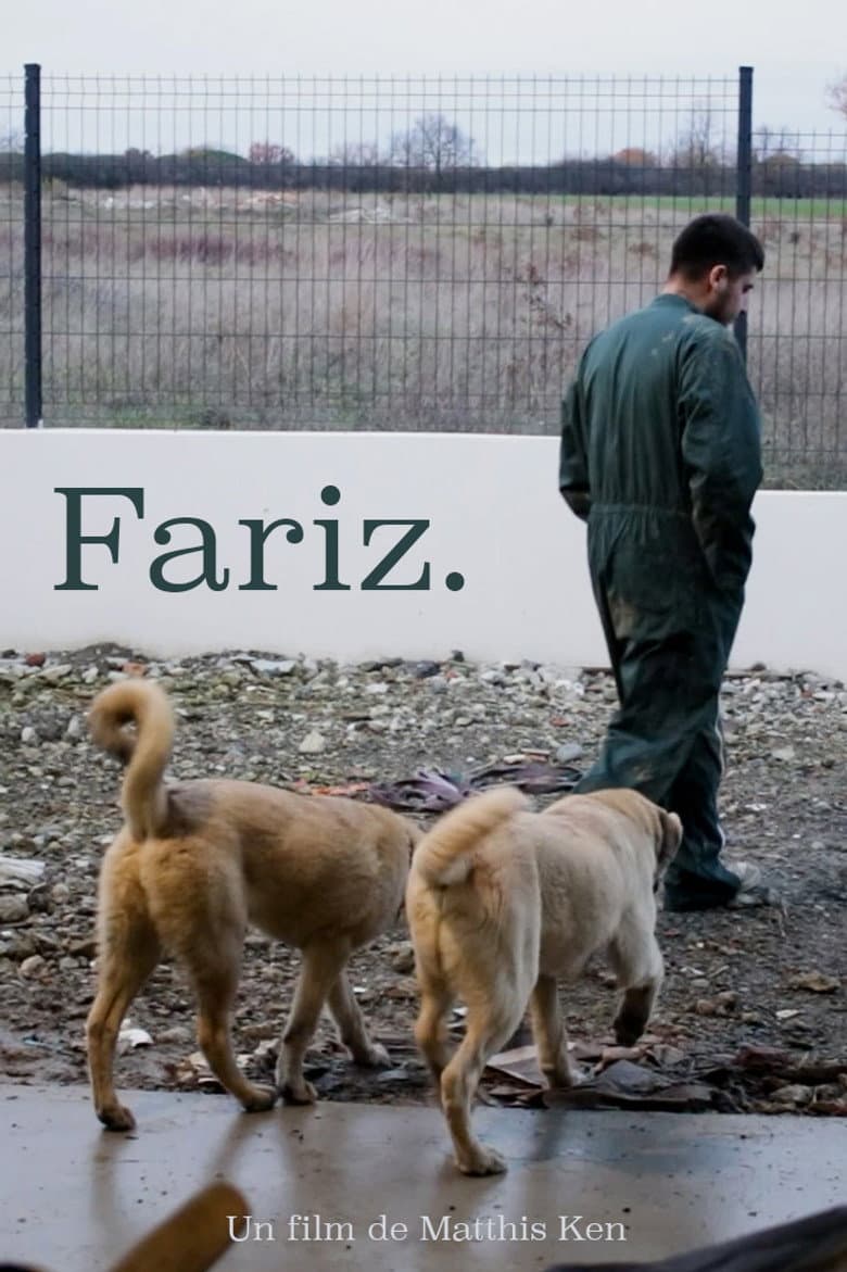 Fariz. poster