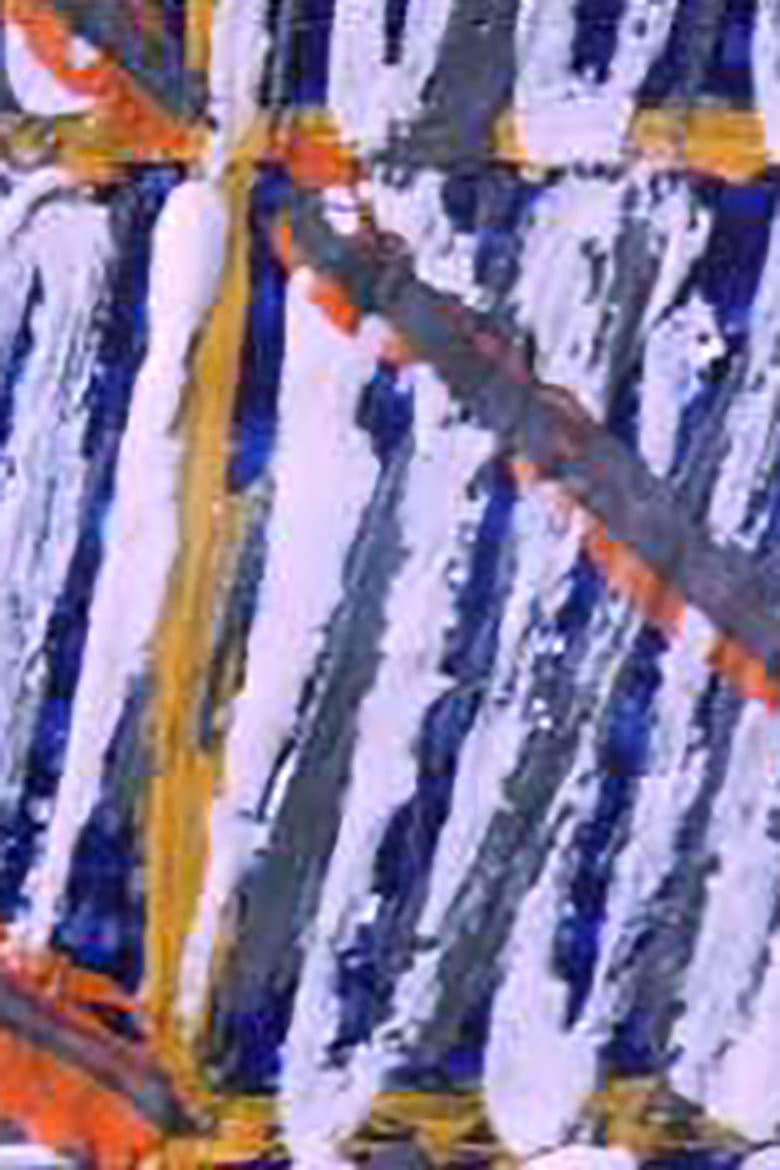 Sequences and Interruptions poster