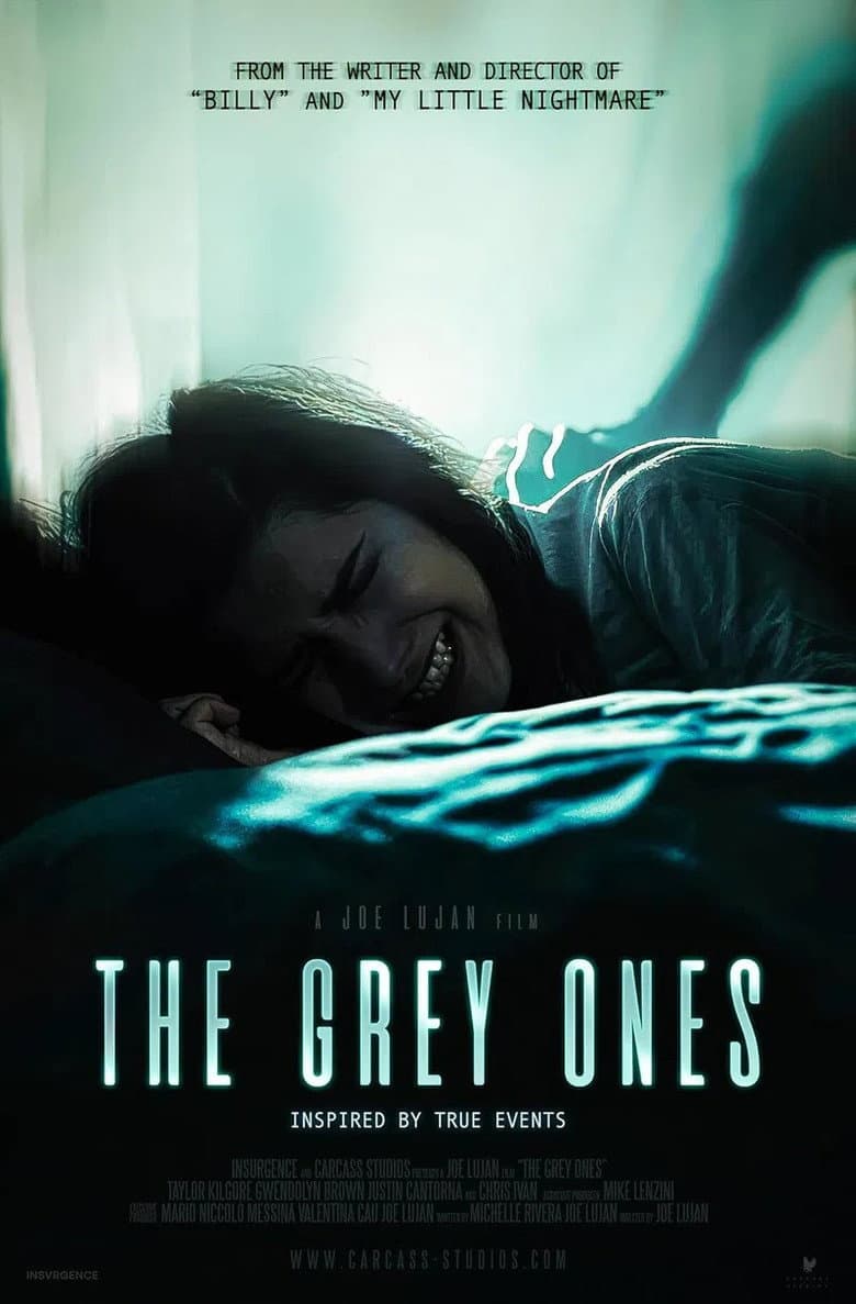 The Grey Ones poster