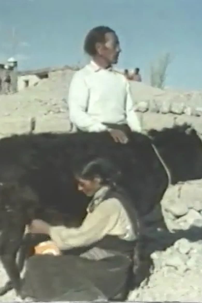 Echoes From Tibet poster