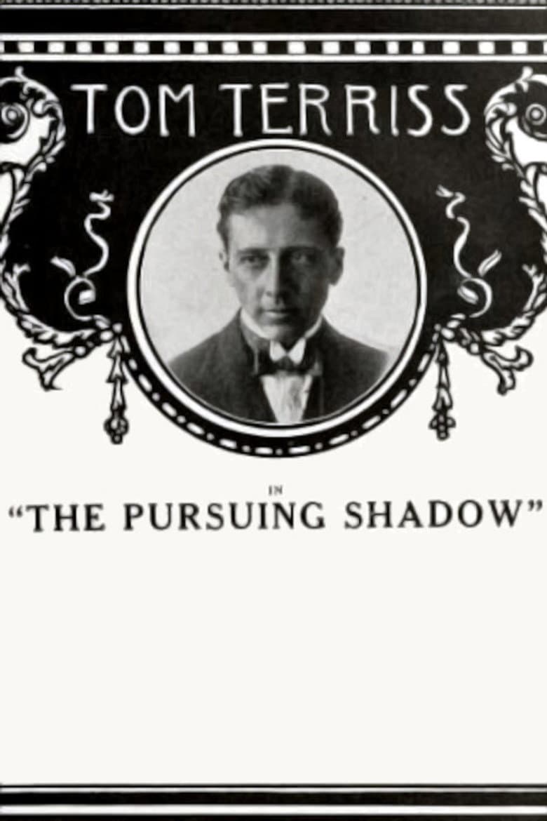 The Pursuing Shadow poster