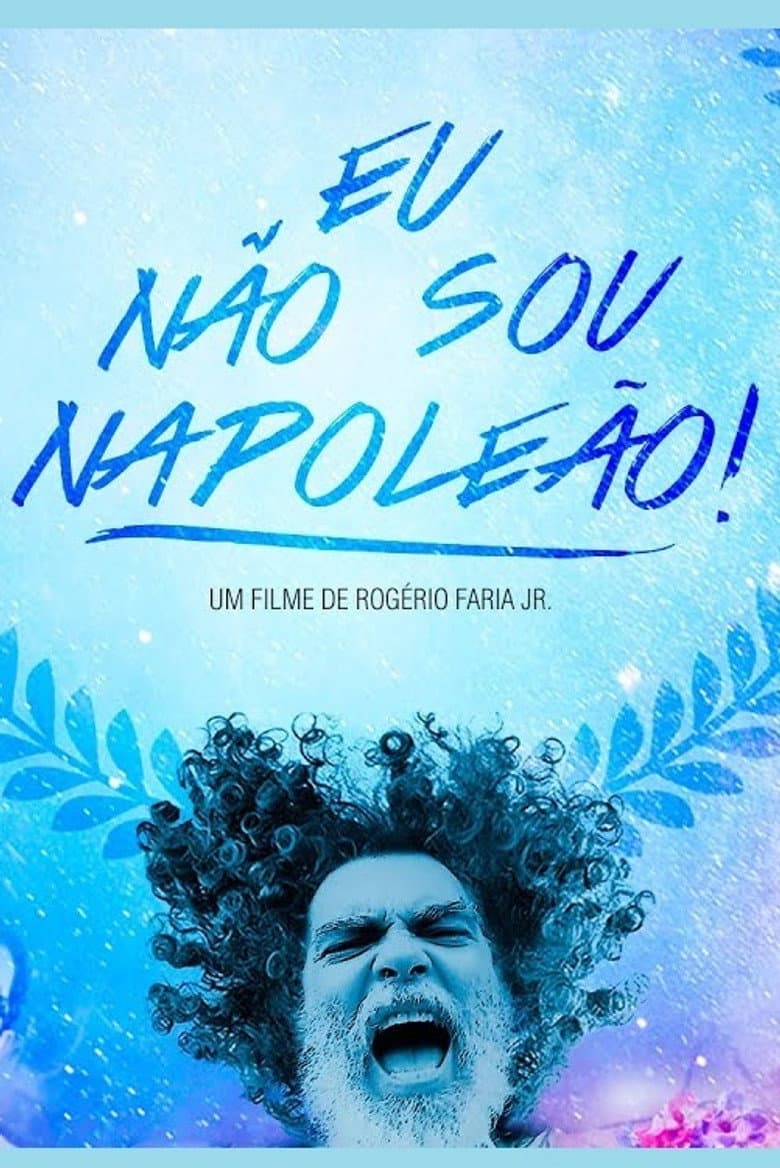 Eu Não Sou Napoleão! poster