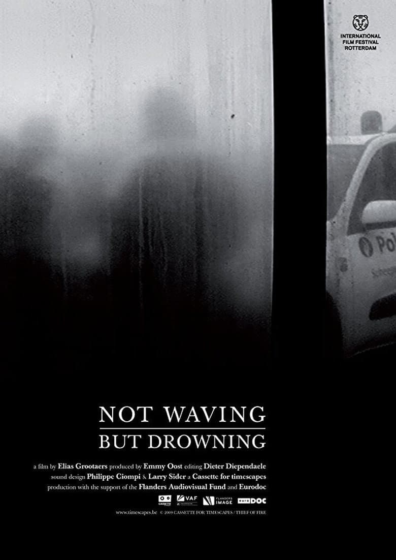 Not Waving, But Drowning poster