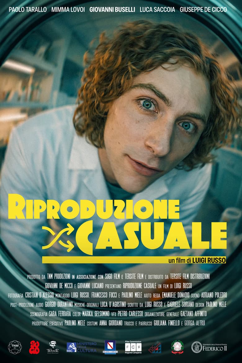 Riproduzione Casuale poster
