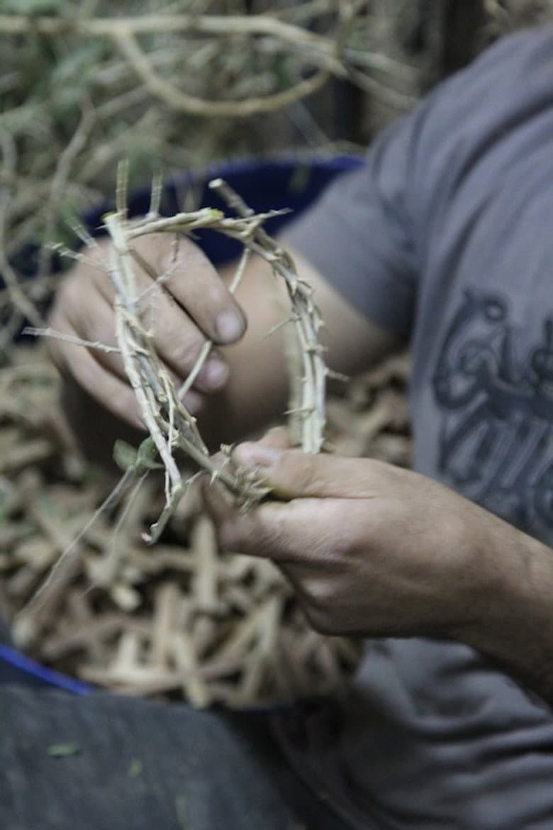 Made In Bethlehem poster