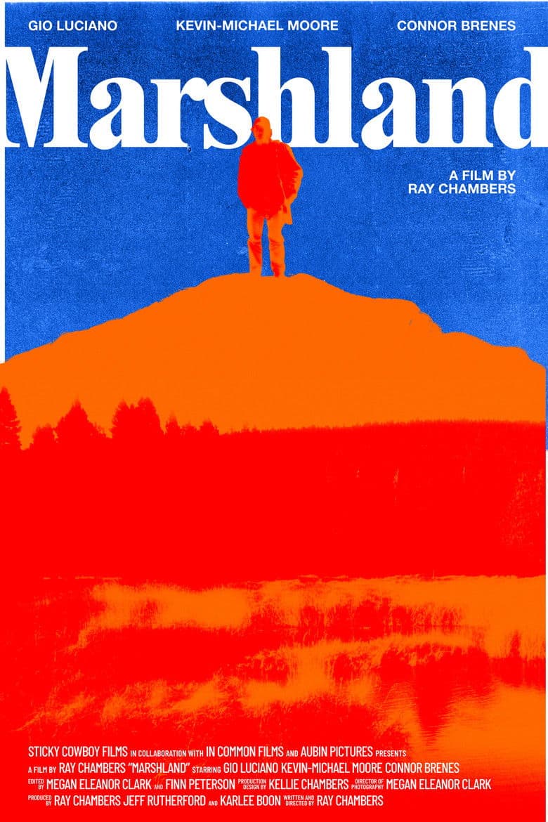 Marshland poster
