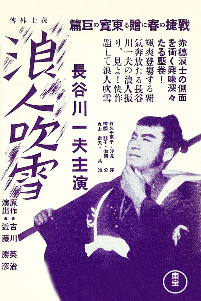 Blizzard Ronin poster