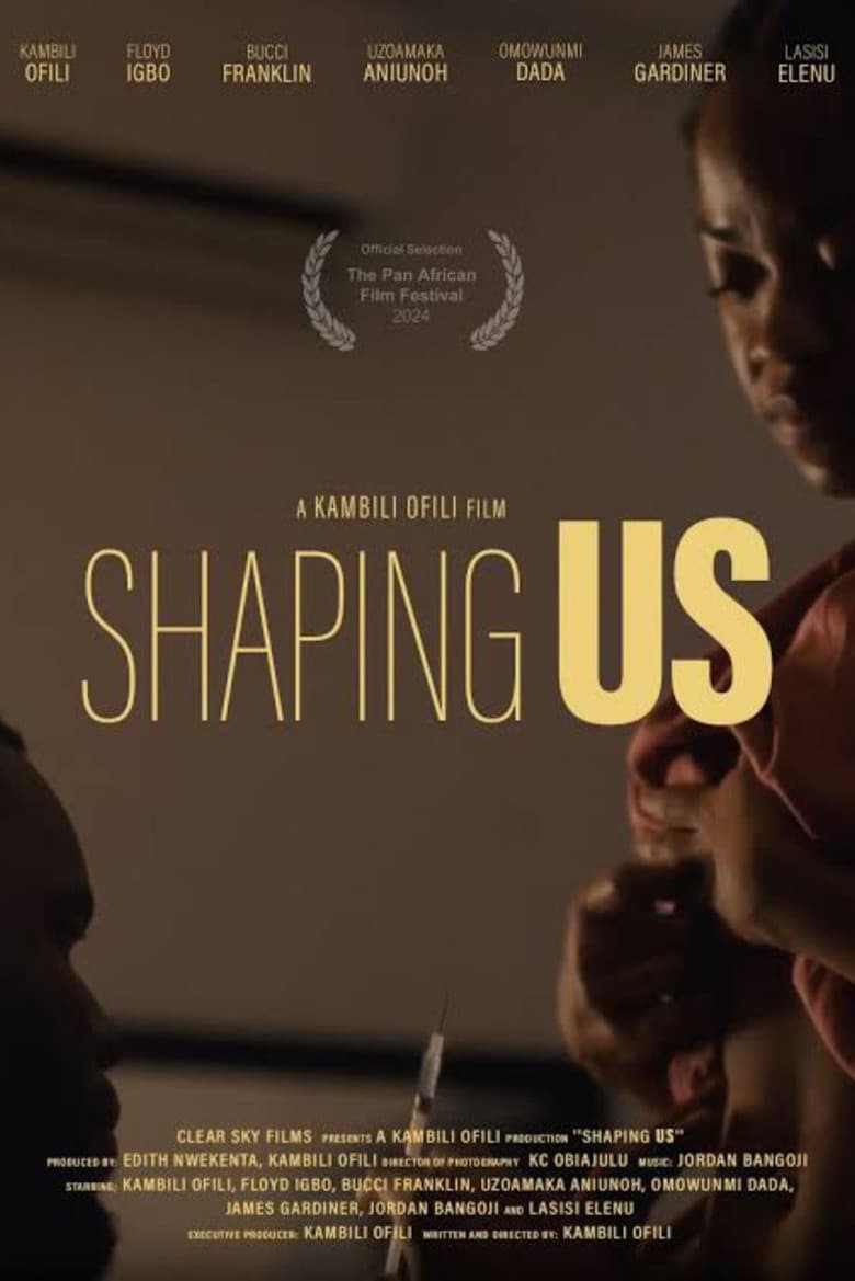 Shaping Us poster