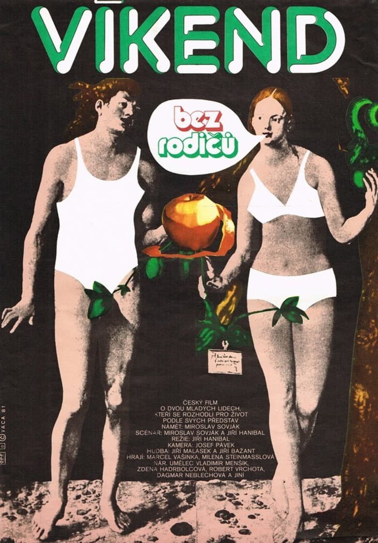 Víkend bez rodičů poster