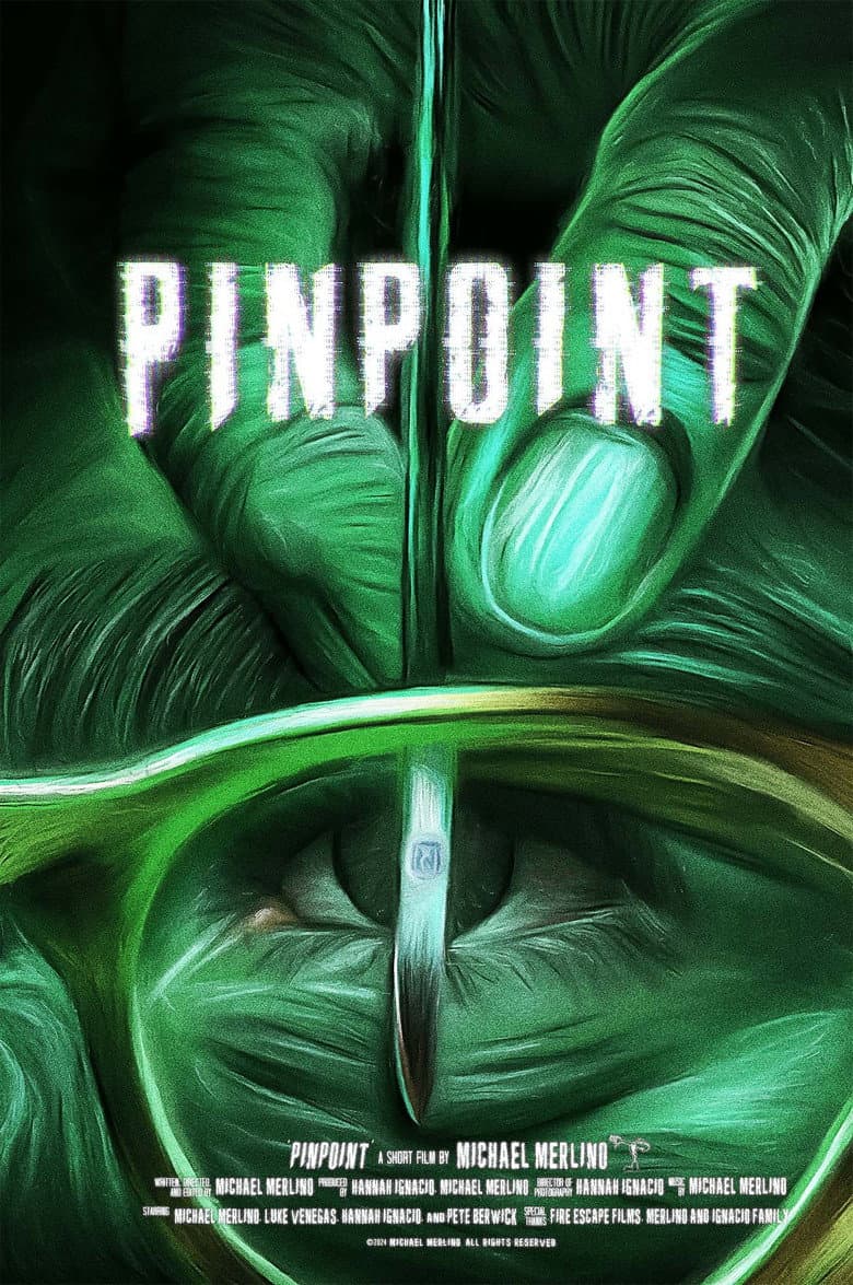 PINPOINT poster