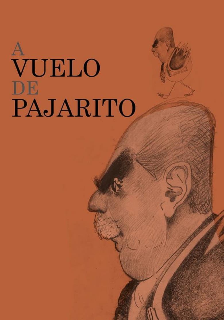A vuelo de pajarito poster