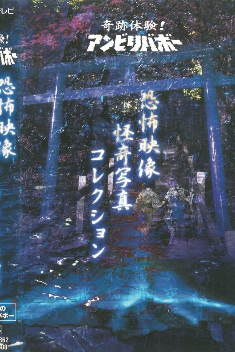 Kiseki Taiken! Anbiribabō: Kyōfu Eizō Kaiki Shashin Korekushon poster
