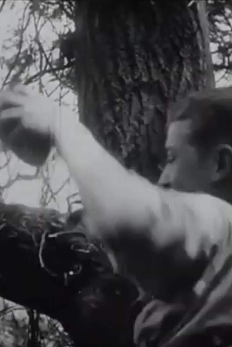 The Nest Robbers poster