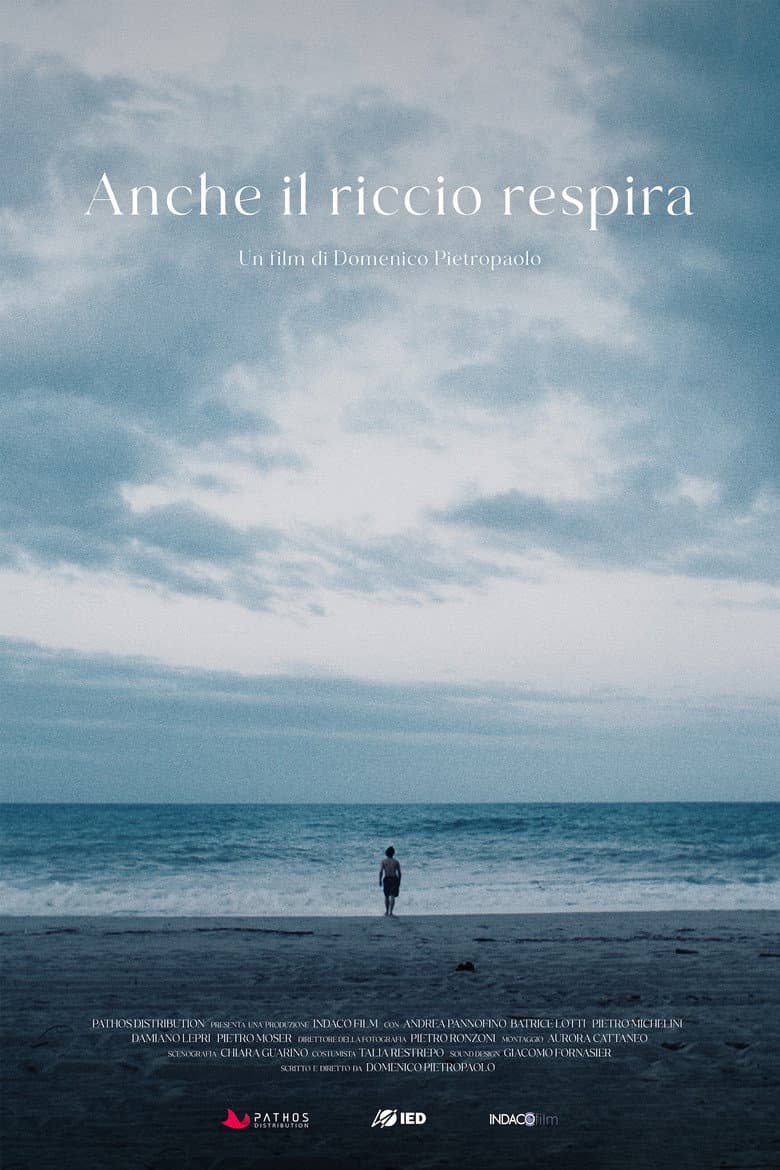 Anche il riccio respira poster