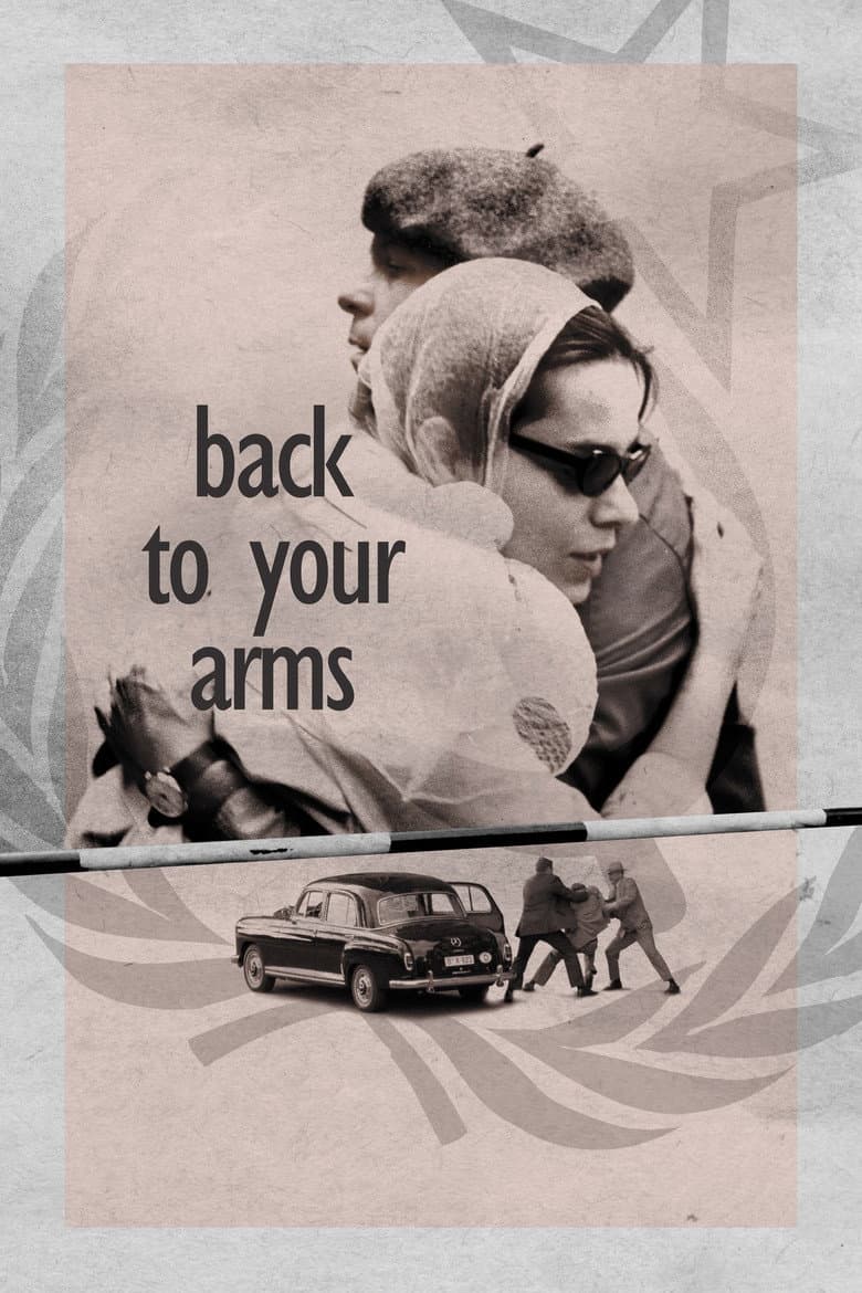Back to Your Arms poster