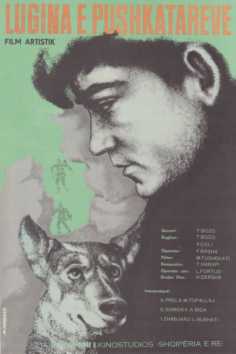 Valley of the Riflemen poster