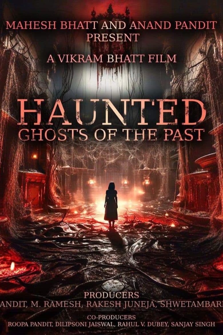 Haunted 3D: Ghosts of the Past poster