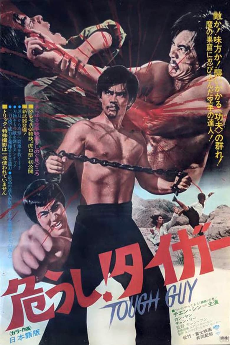 Revenge of the Dragon poster